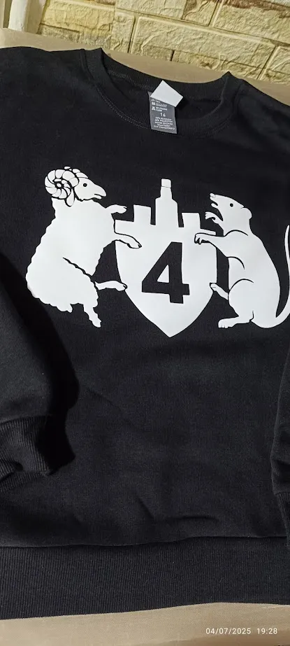 Buzo de Felpa imagen 2